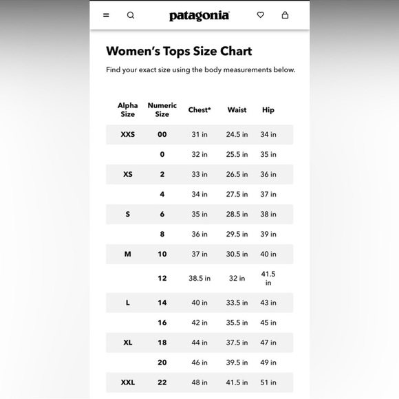 Patagonia Organic Cotton Quilt Snap-T® Pullover - Picture 8 of 9